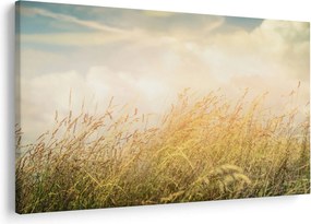 Obraz - Pole na jeseň (90x60 cm)