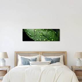 Obraz - List po daždi (s hodinami) (90x30 cm)