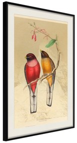 Artgeist Plagát - Birds Twig [Poster] Veľkosť: 30x45, Verzia: Čierny rám s passe-partout