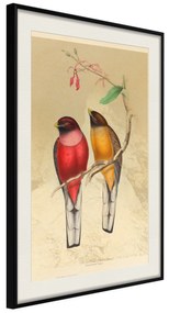 Artgeist Plagát - Birds Twig [Poster] Veľkosť: 30x45, Verzia: Čierny rám