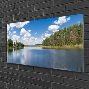 Skleneny obraz Jazero les príroda 120x60 cm
