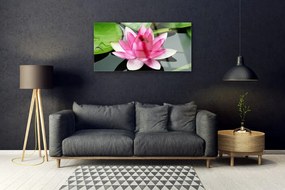 Skleneny obraz Kvet rastlina príroda 100x50 cm