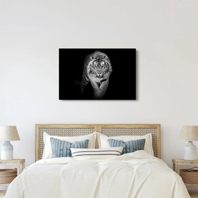 Obraz - Tiger so žltými očami (90x60 cm)