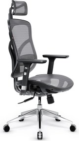 Ergonomická kancelárska stolička zo sieťoviny, čierny-sivý: Diablo V-Basic