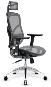 Kancelárska ergonomická stolička Diablo V-Basic, čierno-šedá
