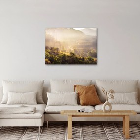 Obraz - Svitanie (70x50 cm)