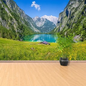 Fototapeta Vliesová Obersee königssee 208x146 cm