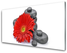 Sklenený obklad Do kuchyne Kvety gerbery kamene zen 140x70 cm
