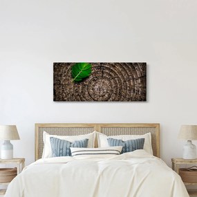 Obraz listu na kmeni stromu (120x50 cm)