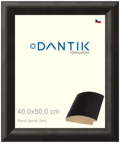 DANTIK rám na obraz 40x50 | René černá (Plexi Čiré)