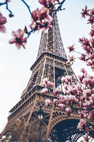 Plagát, Obraz - Paris - Eiffel Tower, (80 x 120 cm)