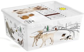 Biely plastový úložný box s vekom 40x34x17 cm C Box Style – KIS