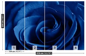 Fototapeta Vliesová Modrá ruža 250x104 cm