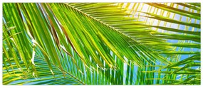 Obraz - Palmové listy (120x50 cm)