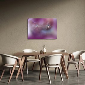 Sklenený obraz kvapôčok na páperí (70x50 cm)