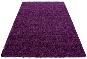 Ayyildiz, DOPREDAJ: 300x400 cm Kusový koberec Life Shaggy 1500 lila, 300x400, fialová, obývacia izba