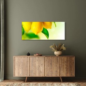 Obraz citrónov (120x50 cm)