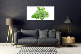 Skleneny obraz Mäta rastlina príroda 125x50 cm