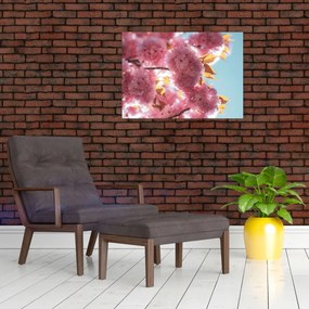 Obraz - Čerešňový kvet (70x50 cm)