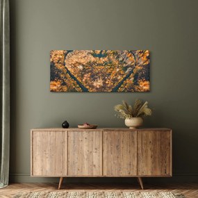 Obraz - Rieka v tvare srdca (120x50 cm)