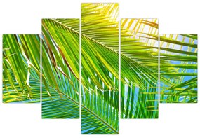 Obraz - Palmové listy (150x105 cm)