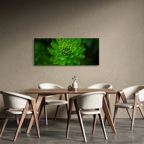 Obraz ihličnanu (120x50 cm)