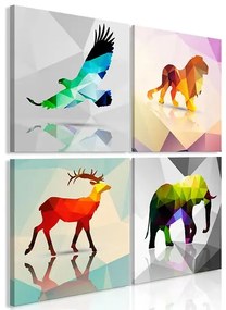 Obraz - Colourful Animals (4 Parts) Veľkosť: 40x40, Verzia: Premium Print