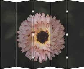 Paraván - Oranžová kvetina (210x170 cm)