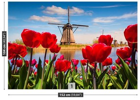Fototapeta Vliesová Veterné mlyny v holandsku 416x254 cm