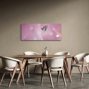 Obraz - Motýlik (120x50 cm)