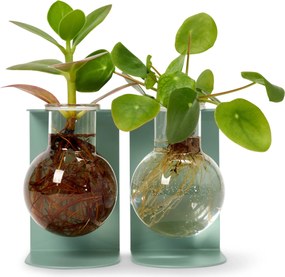 Stojan na zakoreňovanie odrezkov a rozmnožovanie rastlín