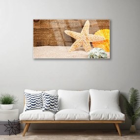Skleneny obraz Piesok hviezdica umenie 120x60 cm