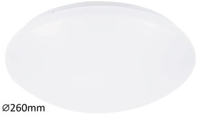 RABALUX Stropné LED osvetlenie LUCAS, 12 W, denná biela, 26 cm, okrúhle