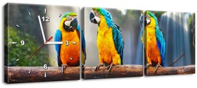 Gario Obraz s hodinami Farebné papagáje - 3 dielny Rozmery: 90 x 30 cm