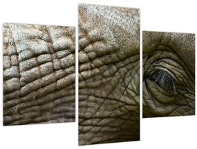 Obraz - Detailné fotografie starého slonieho oka (90x60 cm)