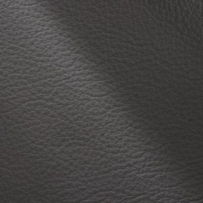 Moderné kožené kreslo LOREN II, sivá (madras - 128 grey)