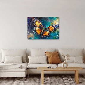 Obraz - Motýľ, olejomaľba (70x50 cm)