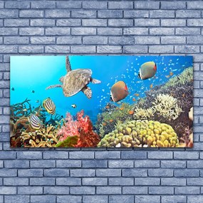 Obraz na akrylátovom skle Koralový útes krajina 120x60 cm
