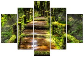 Obraz schodov v dažďovom pralese (150x105 cm)