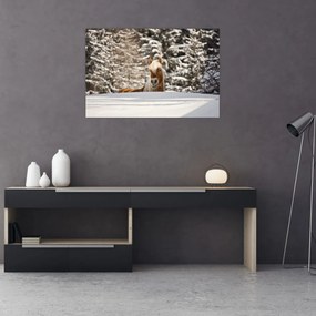 Obraz - Kôň v zimnej krajine (90x60 cm)