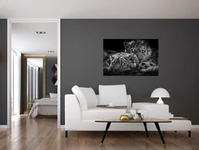 Obraz - Odpočívajúci gepardy (90x60 cm)