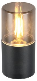 Vonkajšie svietidlo (výška 17,5 cm) Hoosic – Trio