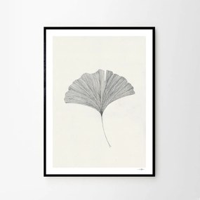 The Poster Club Plagát Ginkgo Leaf by Ana Frois A4 (21x27cm)