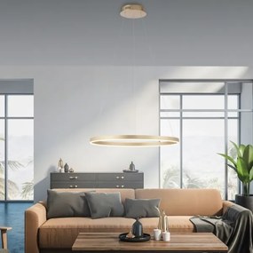 Leuchten Direkt 15394-60 - LED Stmievateľný luster na lanku RITUS LED/28W/230V