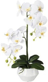 Umelá orchidea phalaenopsis 52 cm biela v keramickom kvetináči Real Touch