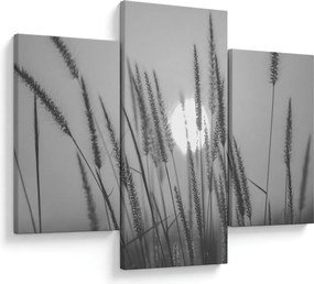 Obraz - Lúka pri západe slnka (90x60 cm)