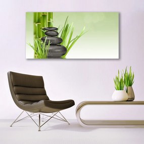 Obraz plexi Bambus tráva rastlina príroda 120x60 cm