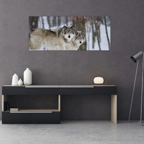 Obraz - Vlci v zime (120x50 cm)