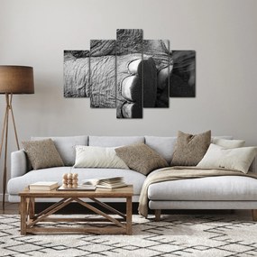 Obraz - Slonia noha (150x105 cm)