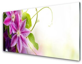 Obraz plexi Kvety príroda 120x60 cm